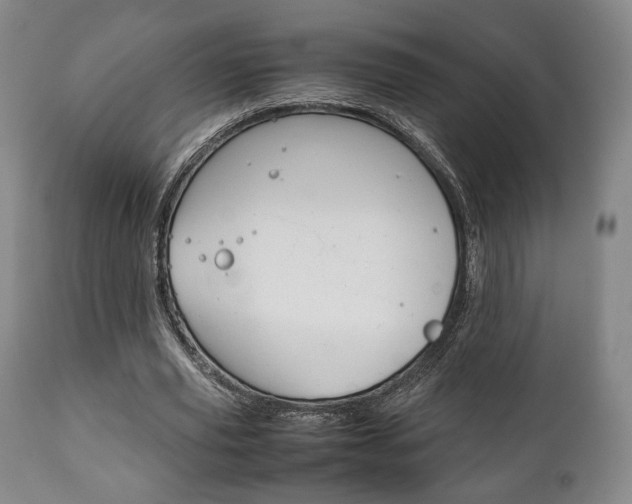 X0000111780629200907230950