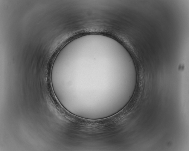 X0000111780631200907230950