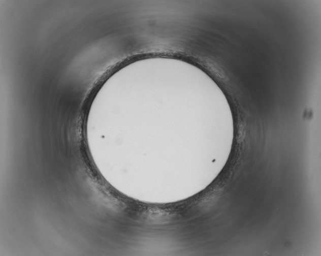 X0000111780632200907230950