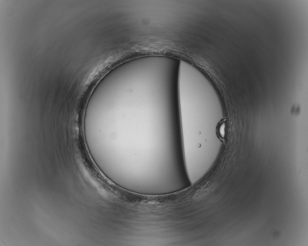 X0000111780634200907230950