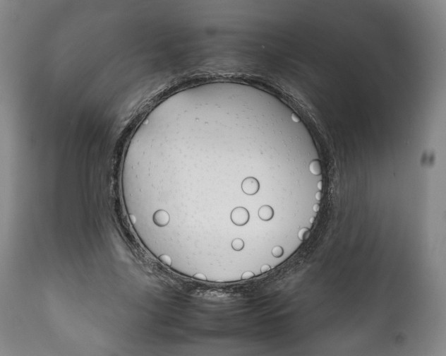 X0000111780635200907230950
