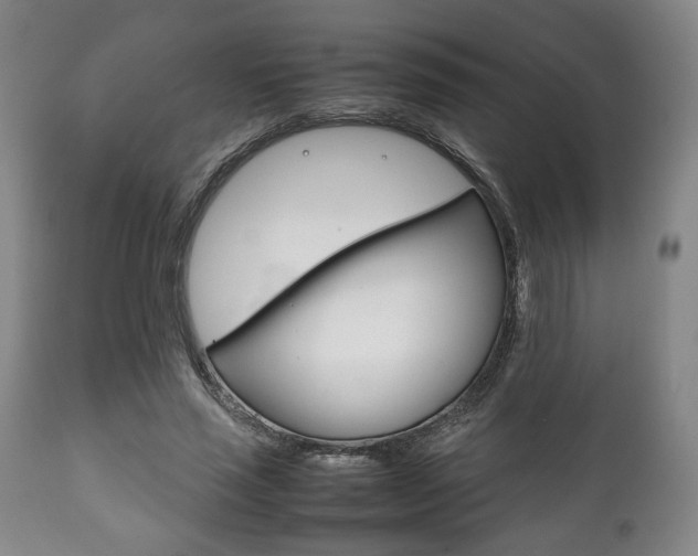 X0000111780637200907230950