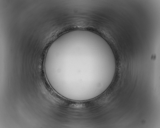 X0000111780639200907230950