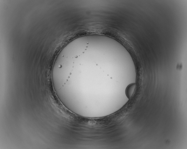X0000111780641200907230950