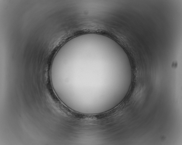 X0000111780642200907230950