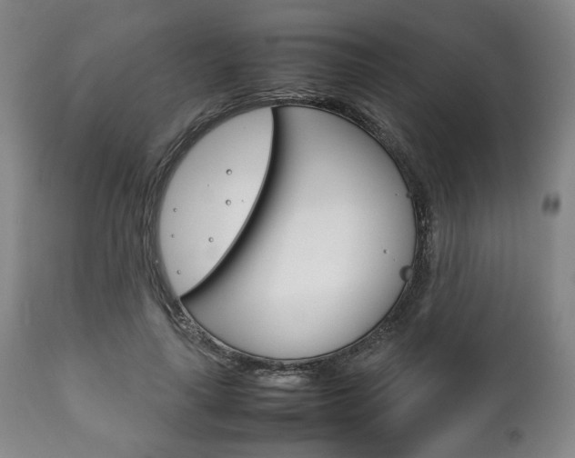 X0000111780643200907230950