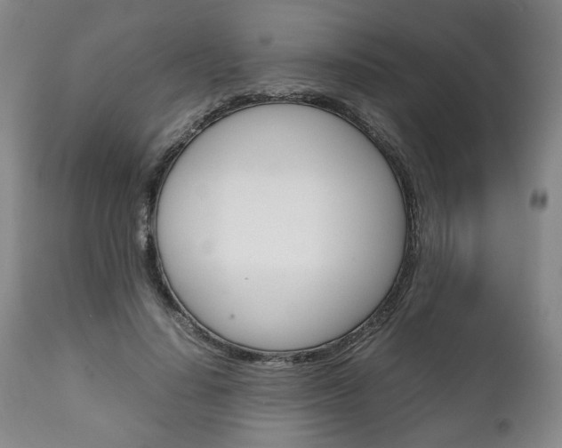 X0000111780644200907230950