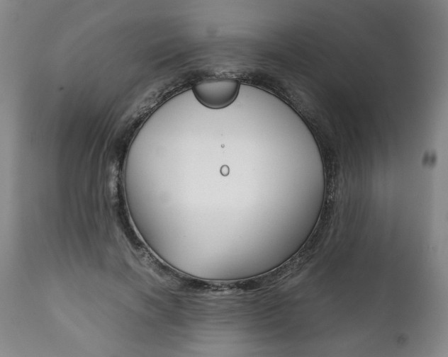 X0000111780646200907230950