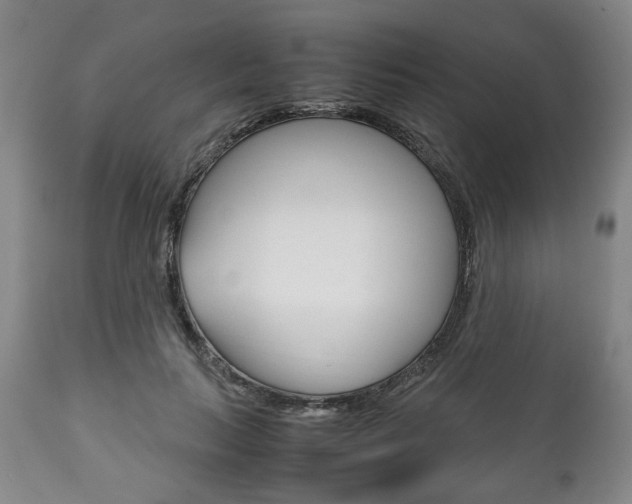 X0000111780647200907230950