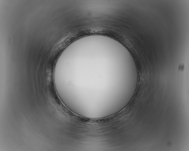 X0000111780648200907230950