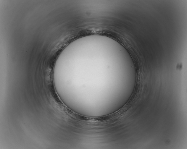 X0000111780650200907230950
