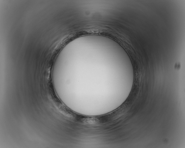 X0000111780652200907230950
