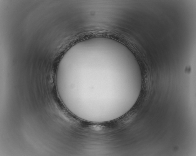 X0000111780654200907230950
