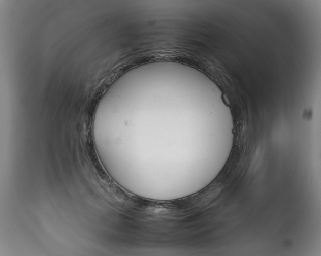 X0000111780655200907230950