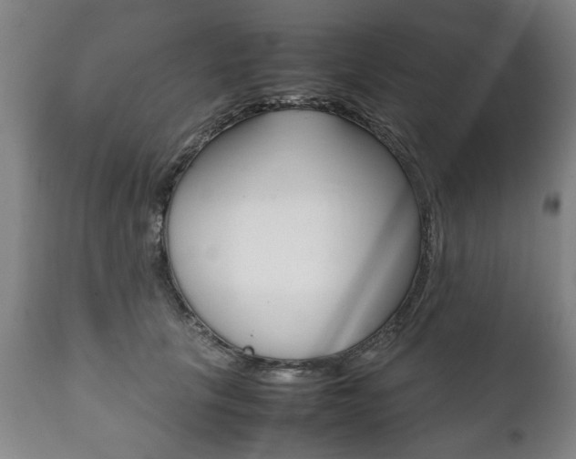 X0000111780657200907230950