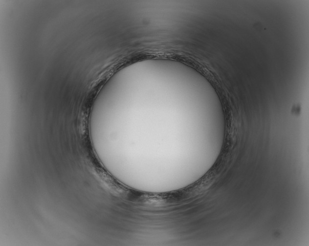X0000111780658200907230950