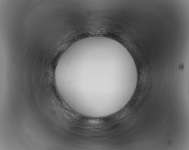 X0000111780659200907230950