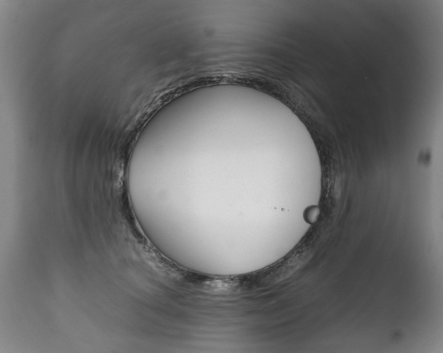 X0000111780660200907230950