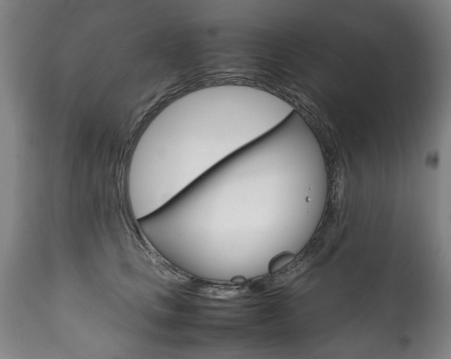 X0000111780661200907230950
