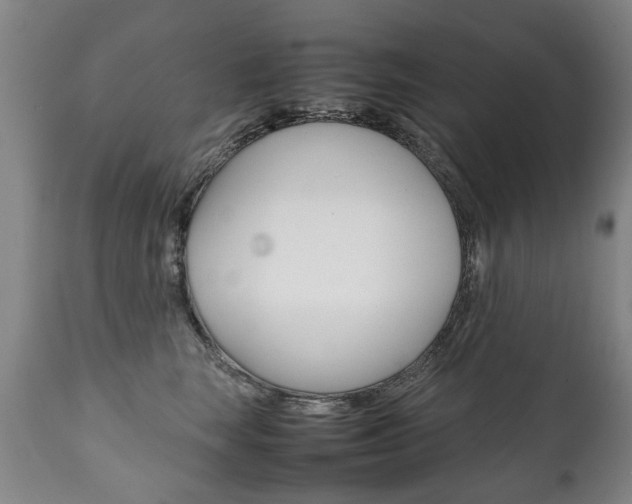 X0000111780663200907230950