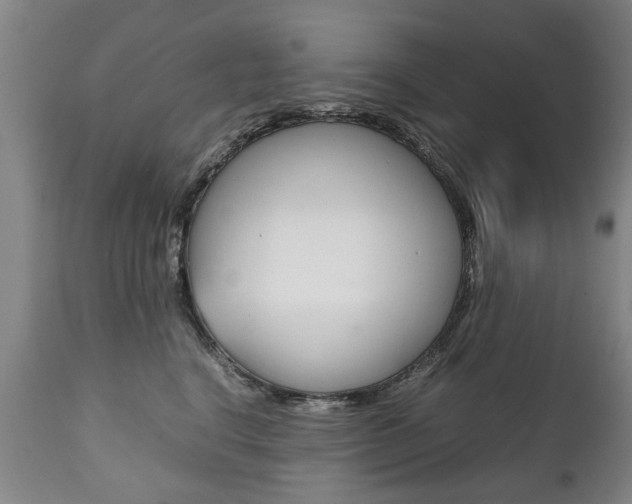 X0000111780664200907230950