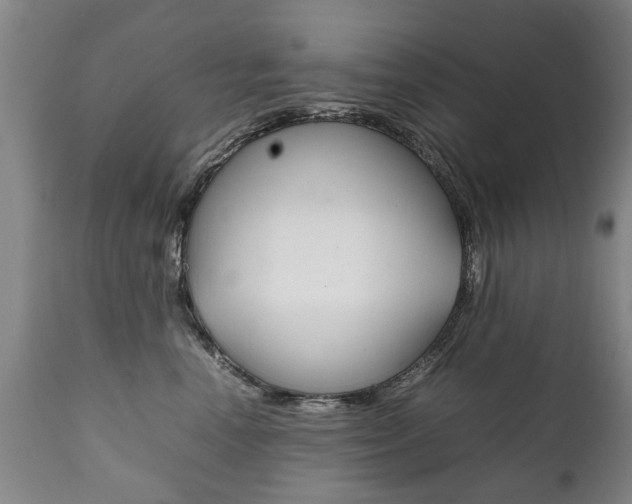 X0000111780666200907230950