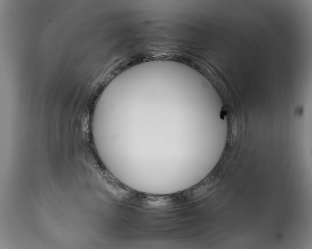 X0000111780667200907230950