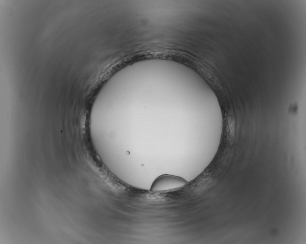 X0000111780668200907230950