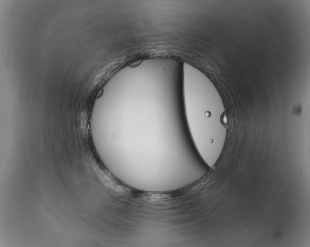 X0000111780670200907230950