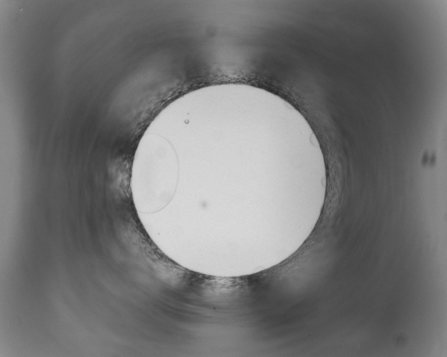X0000111780672200907230950