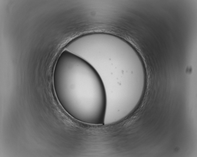 X0000111780673200907230949