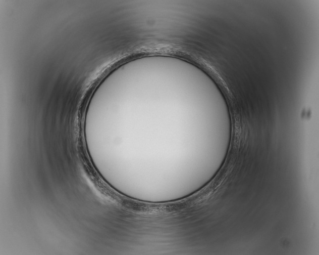 X0000111780674200907230949
