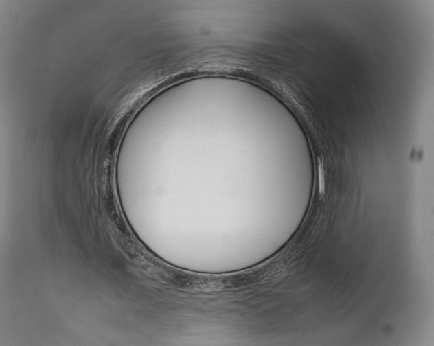X0000111780675200907230949
