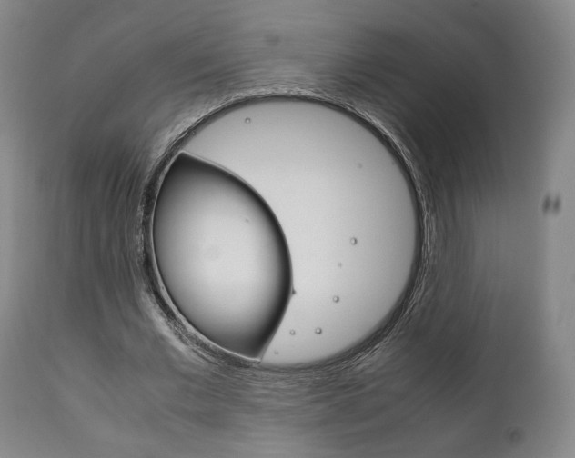X0000111780677200907230949