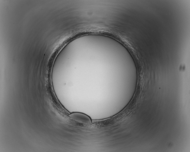 X0000111780679200907230949