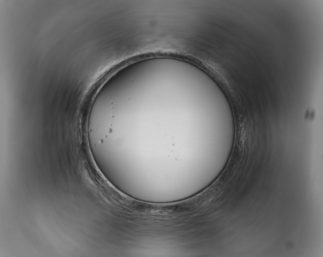 X0000111780680200907230949