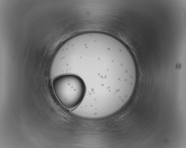X0000111780681200907230949