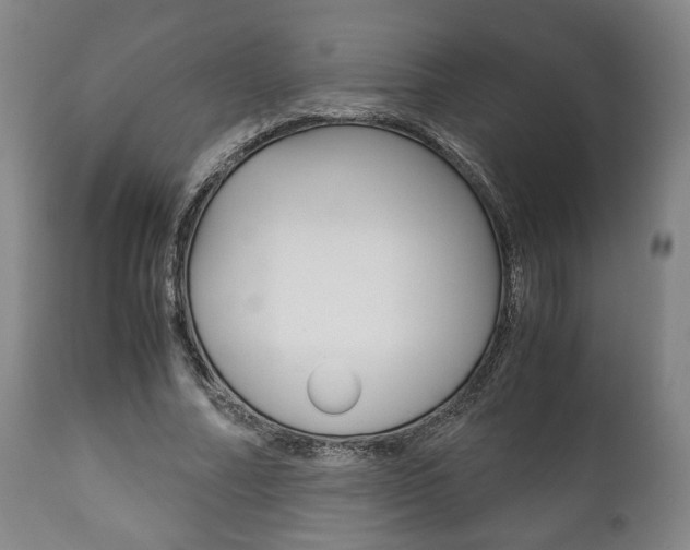 X0000111780682200907230949