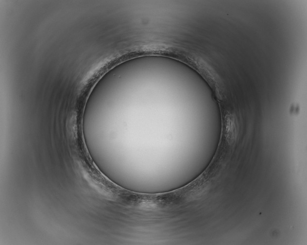 X0000111780684200907230949