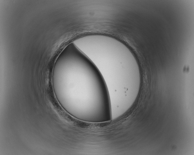 X0000111780685200907230949