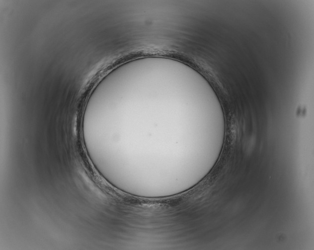 X0000111780686200907230949