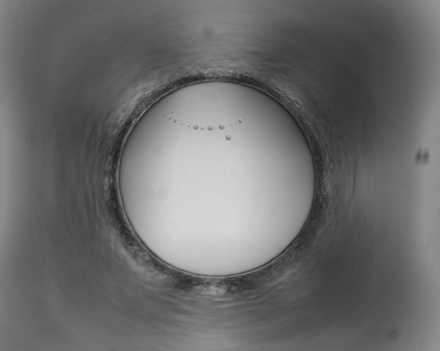X0000111780687200907230949