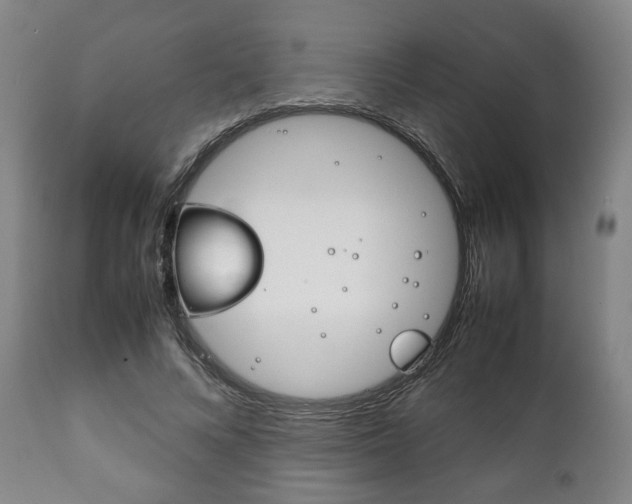 X0000111780688200907230949