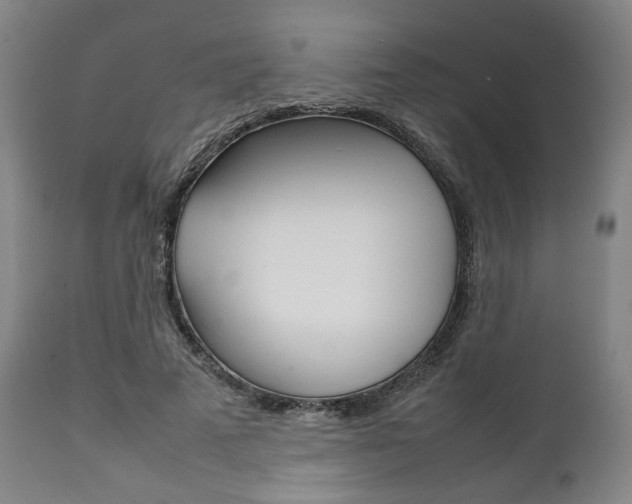 X0000111780689200907230949