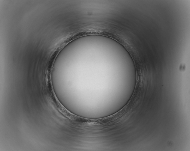 X0000111780692200907230949