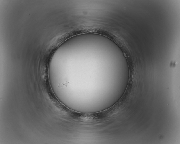 X0000111780693200907230949