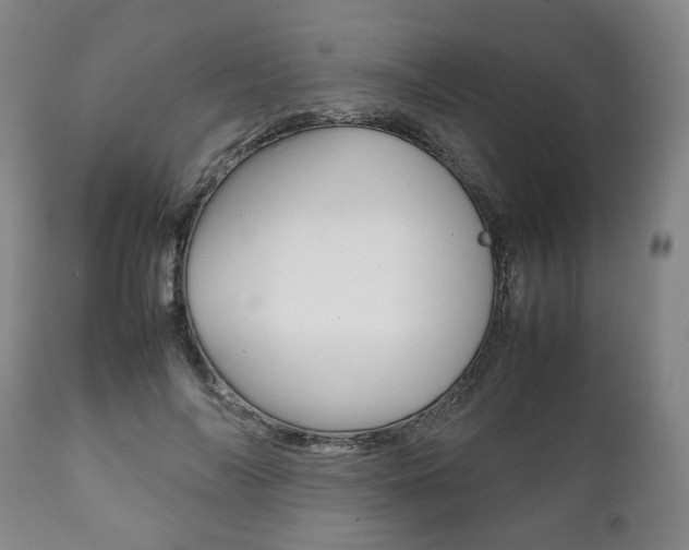 X0000111780694200907230949