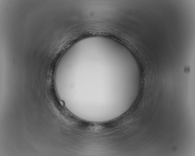 X0000111780695200907230949