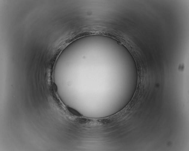 X0000111780696200907230949