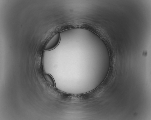 X0000111780697200907230949